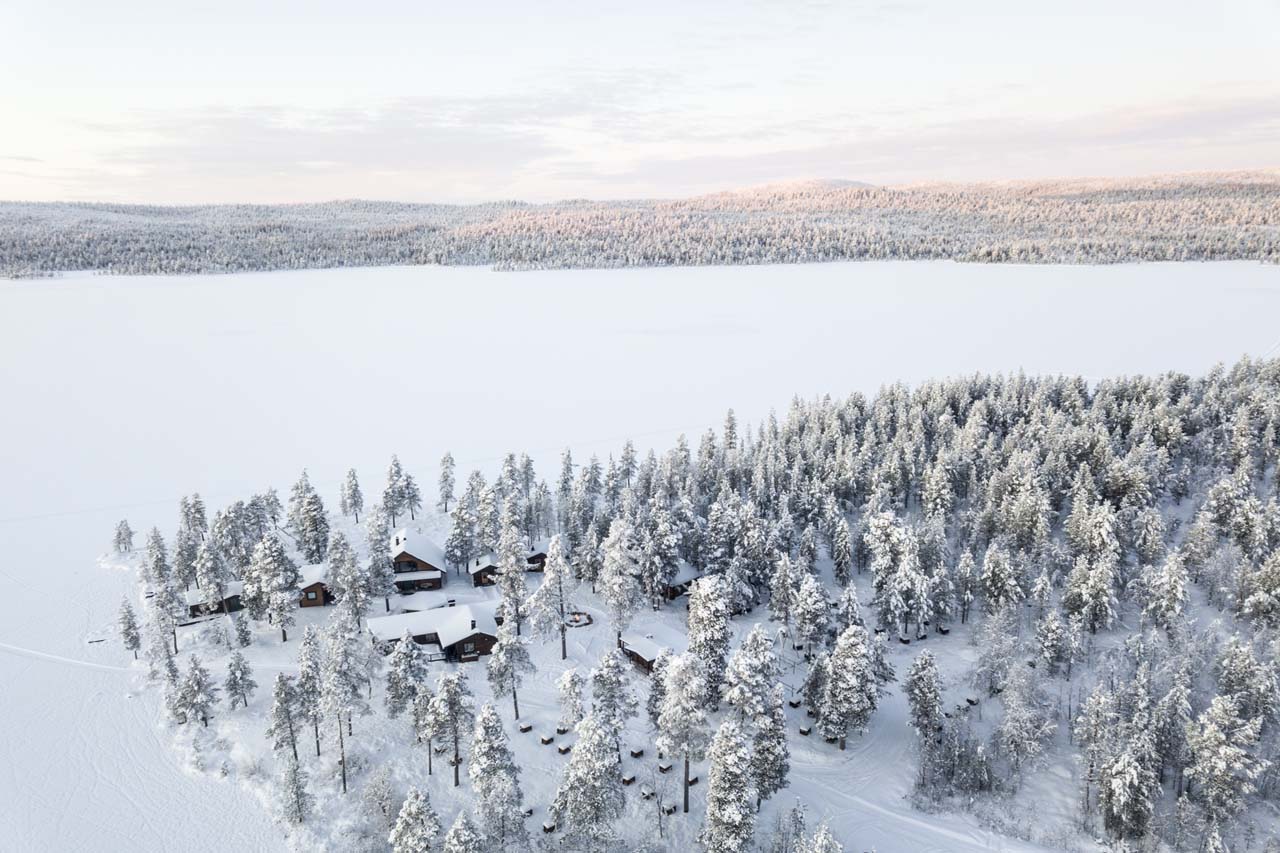 Dog sledding in Sweden