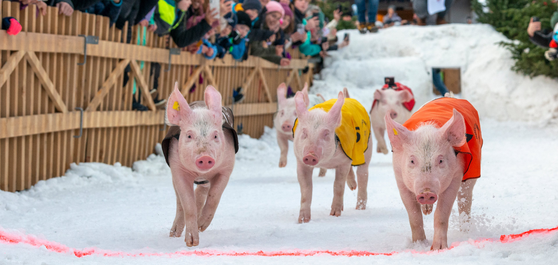 Hotschrennen race in Klosters on New Years Day