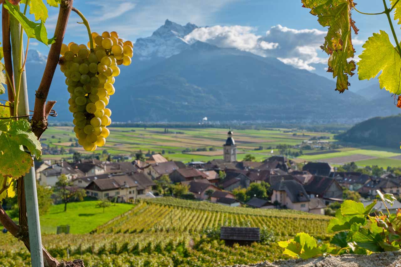 View of Villars sur Ollon in summer