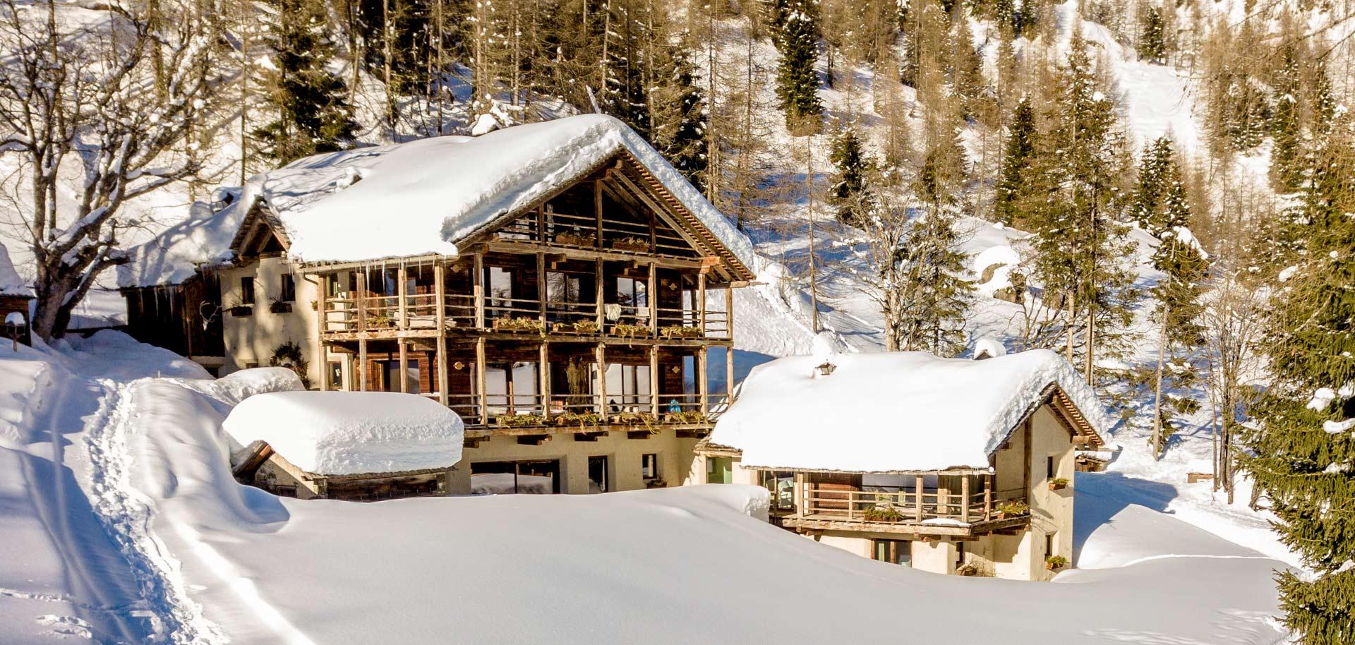 Cesa del Louf in Alta Badia