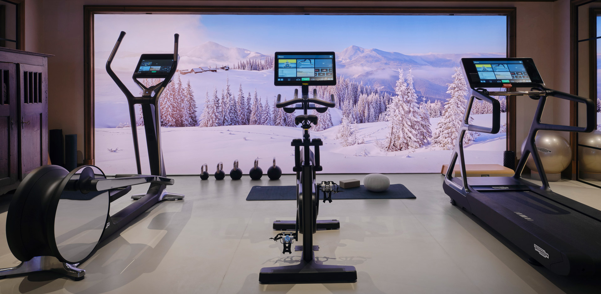Luxury chalet gym