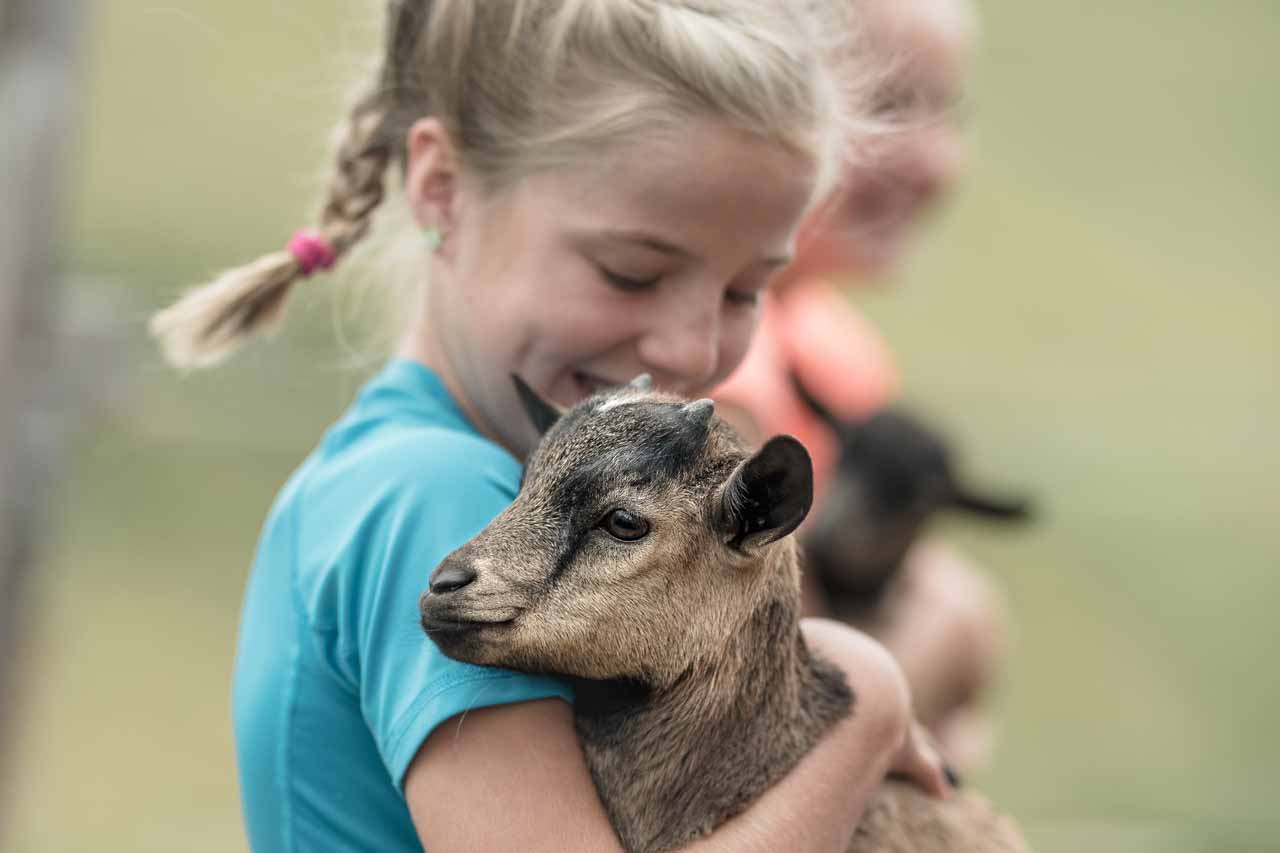 Child with goat in summer in Gstaad