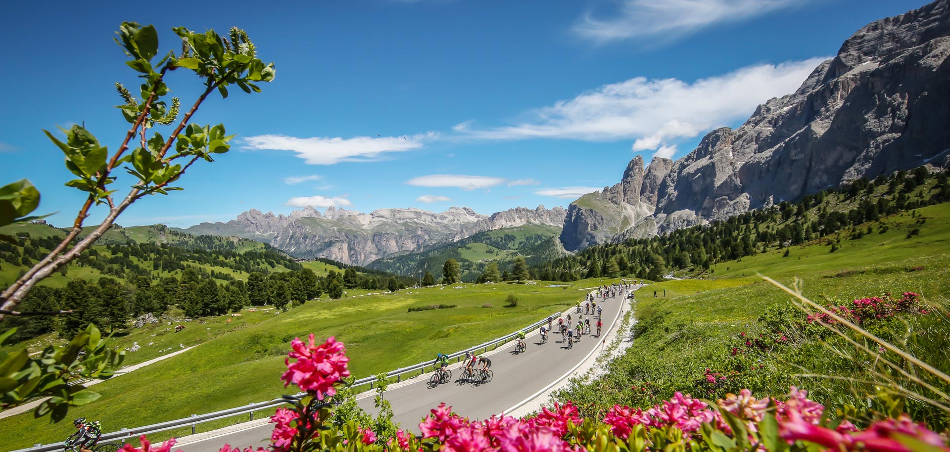 Cycling in Val Gardena in summer