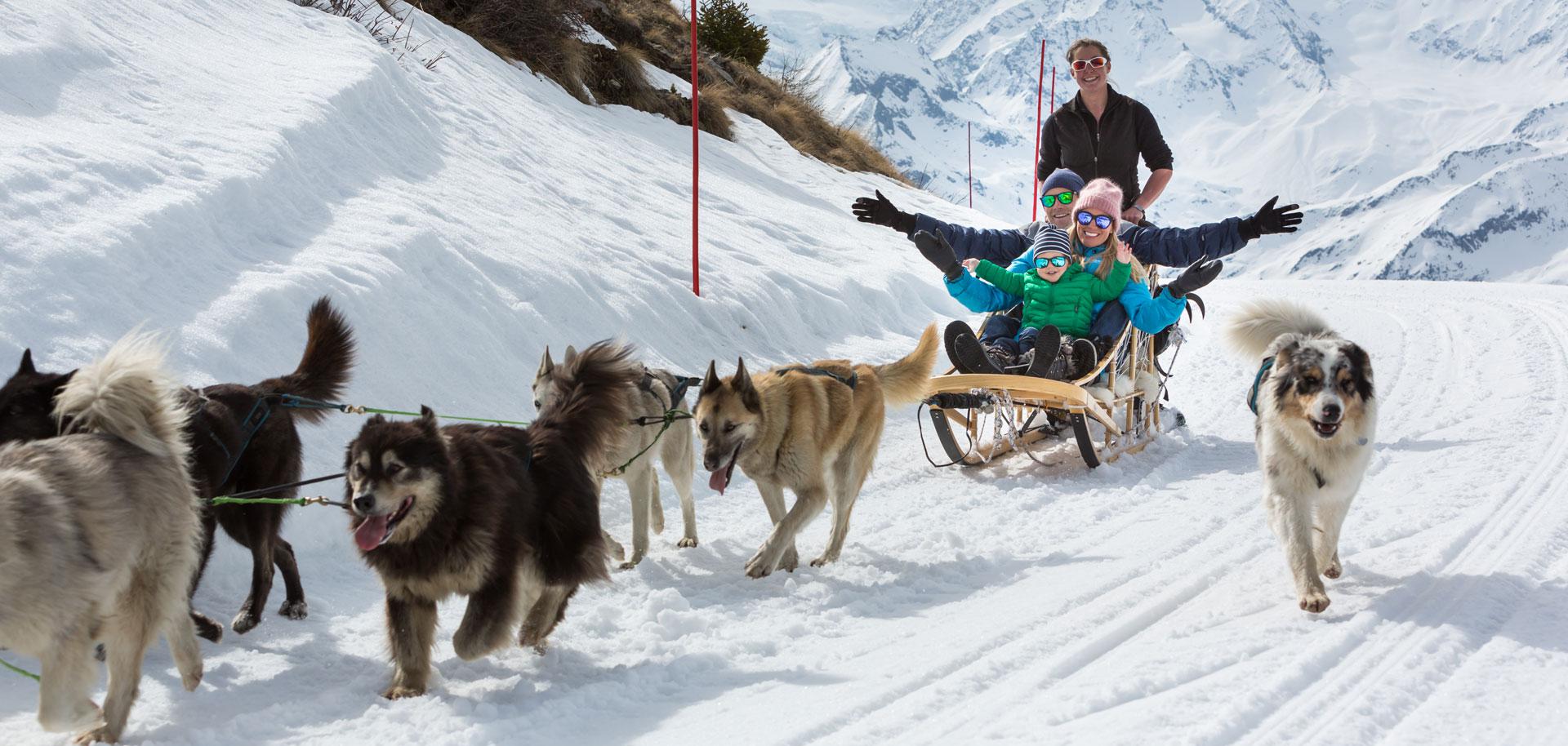 Dog sledding in Verbier