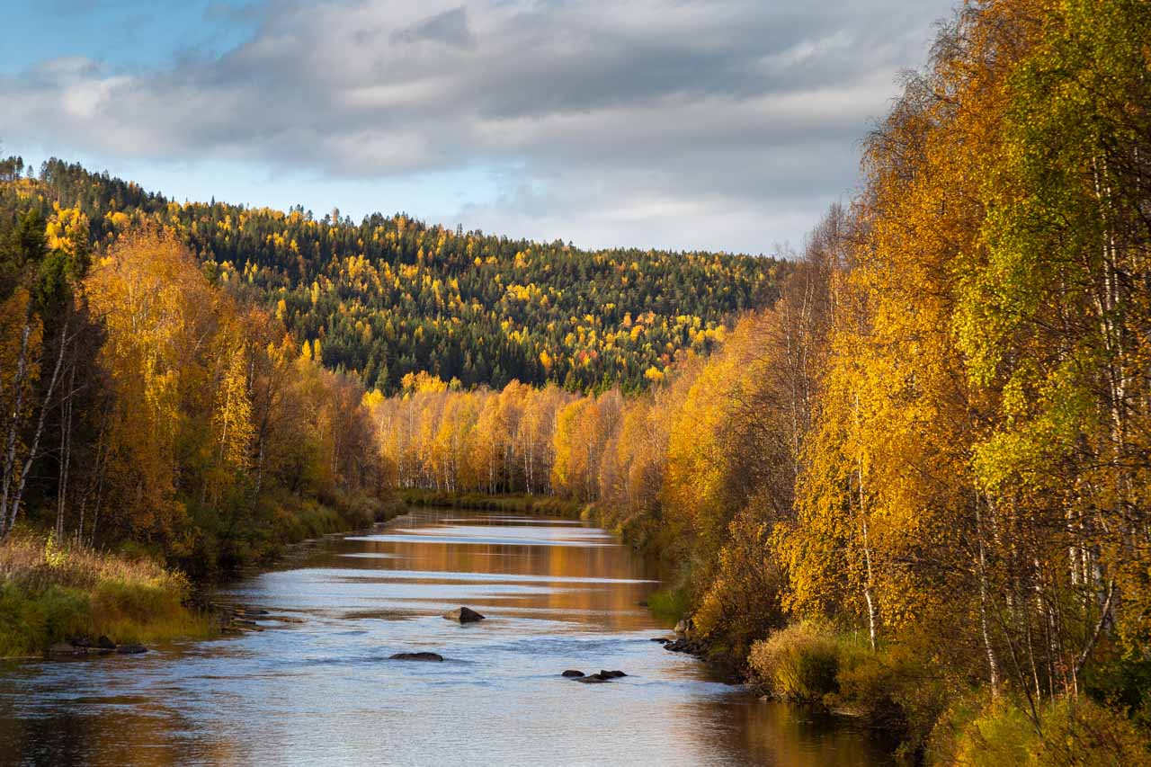 River in Arctic Sweden