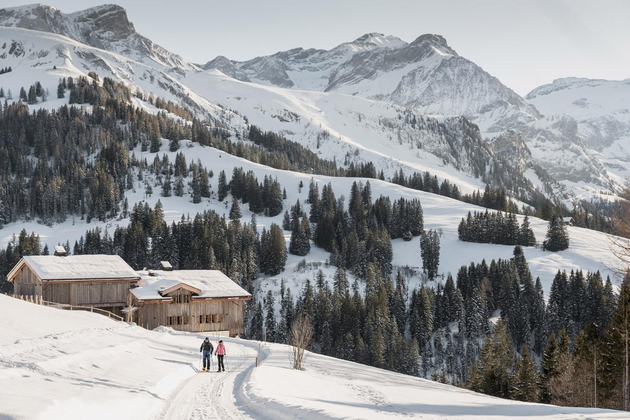 Snowshoeing in Gstaad