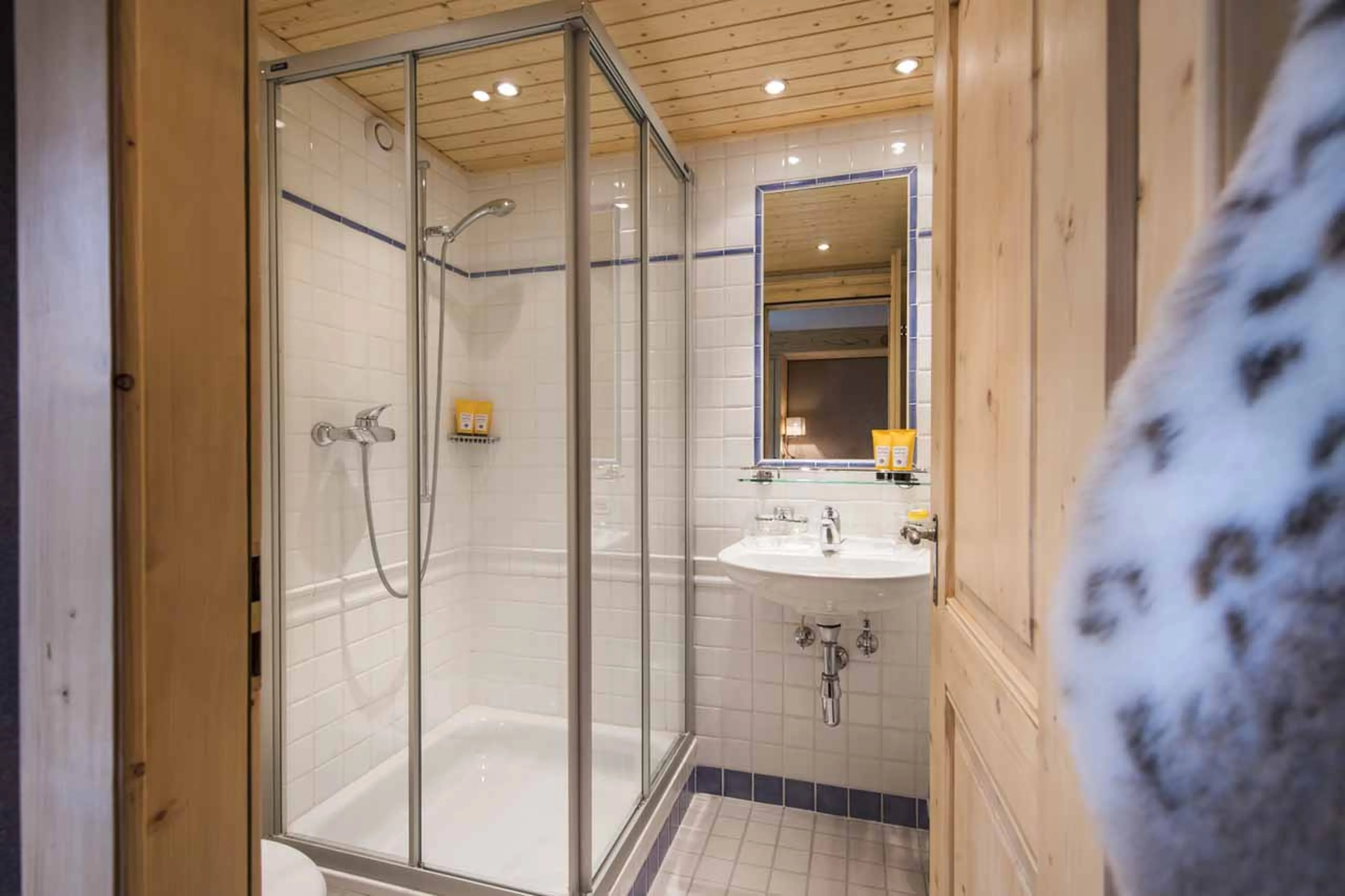 En-suite shower room at Apartment Fleur de Lin in Verbier