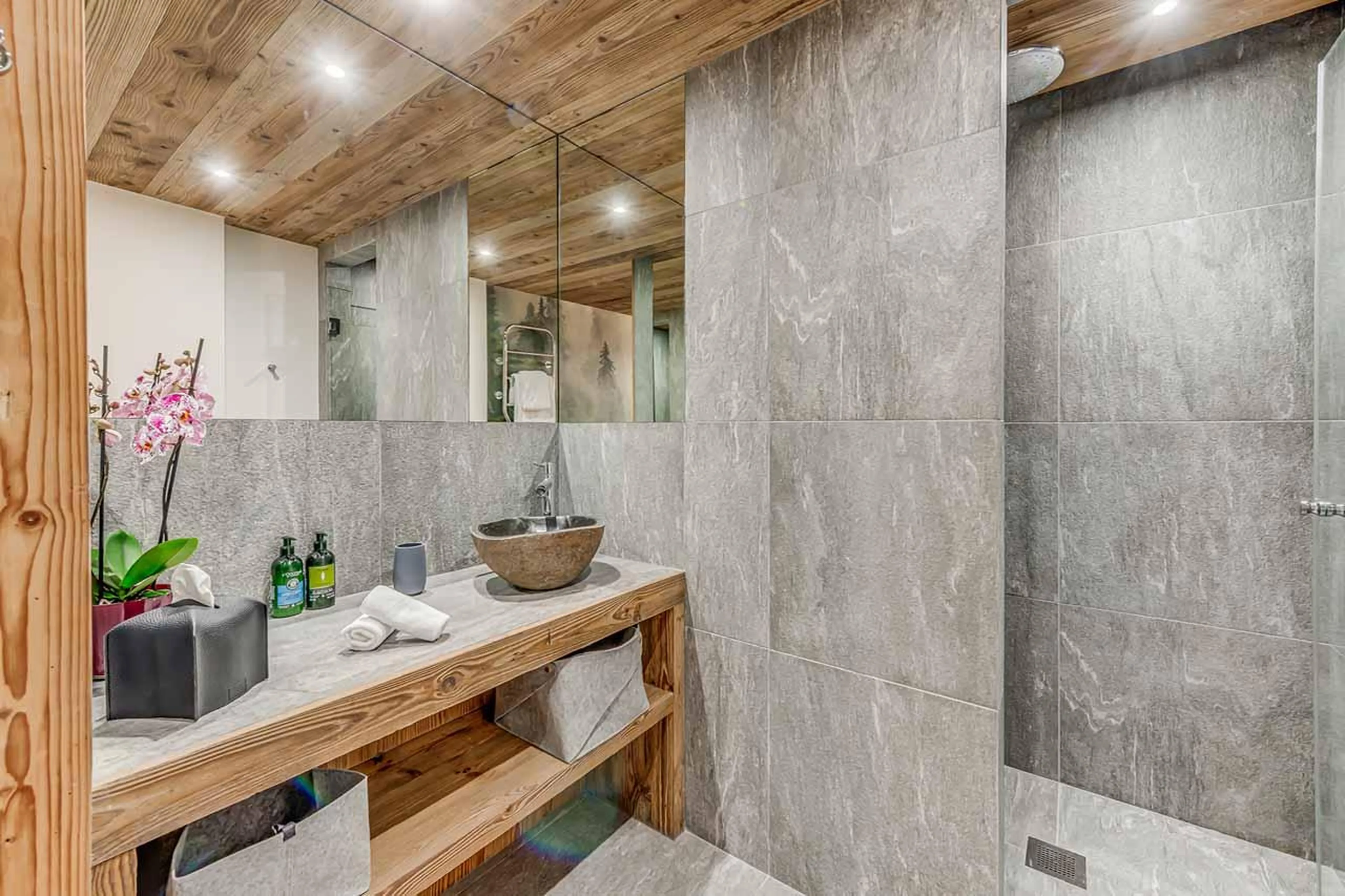 En-suite shower room in Apartment Luna, Val d'Isere