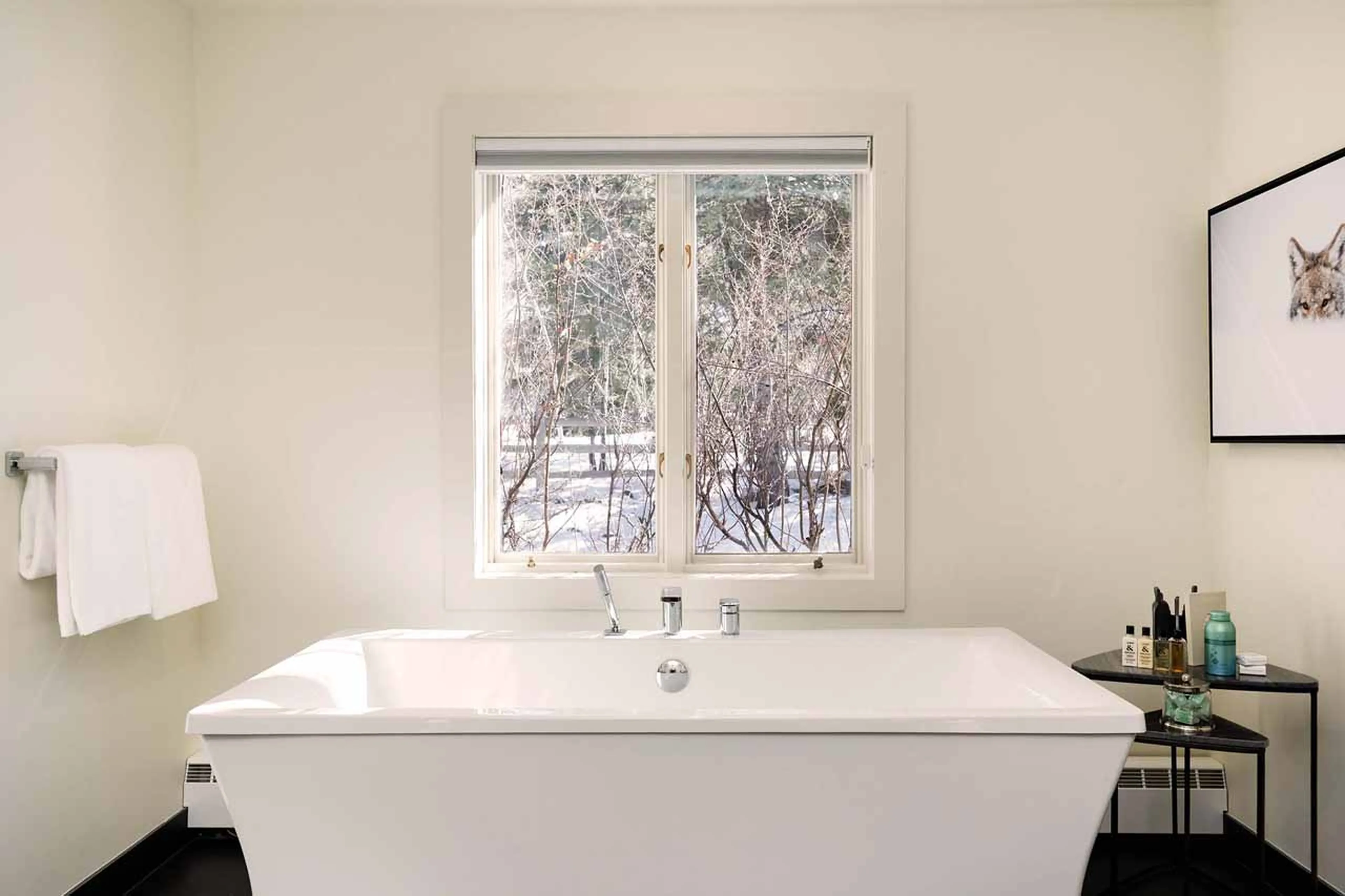 Bath tub views from Avanti Chalet in Vail