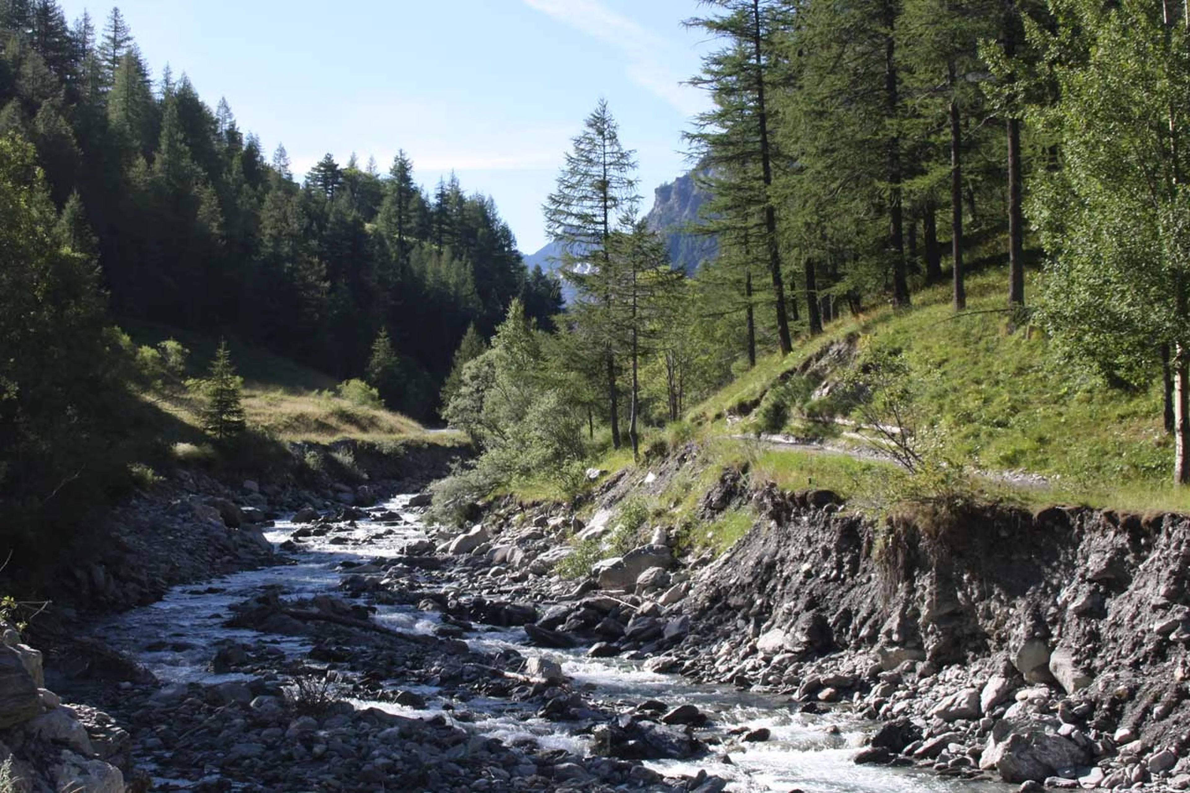 Surrounding region in summer at Baita 1697 in Piedmont