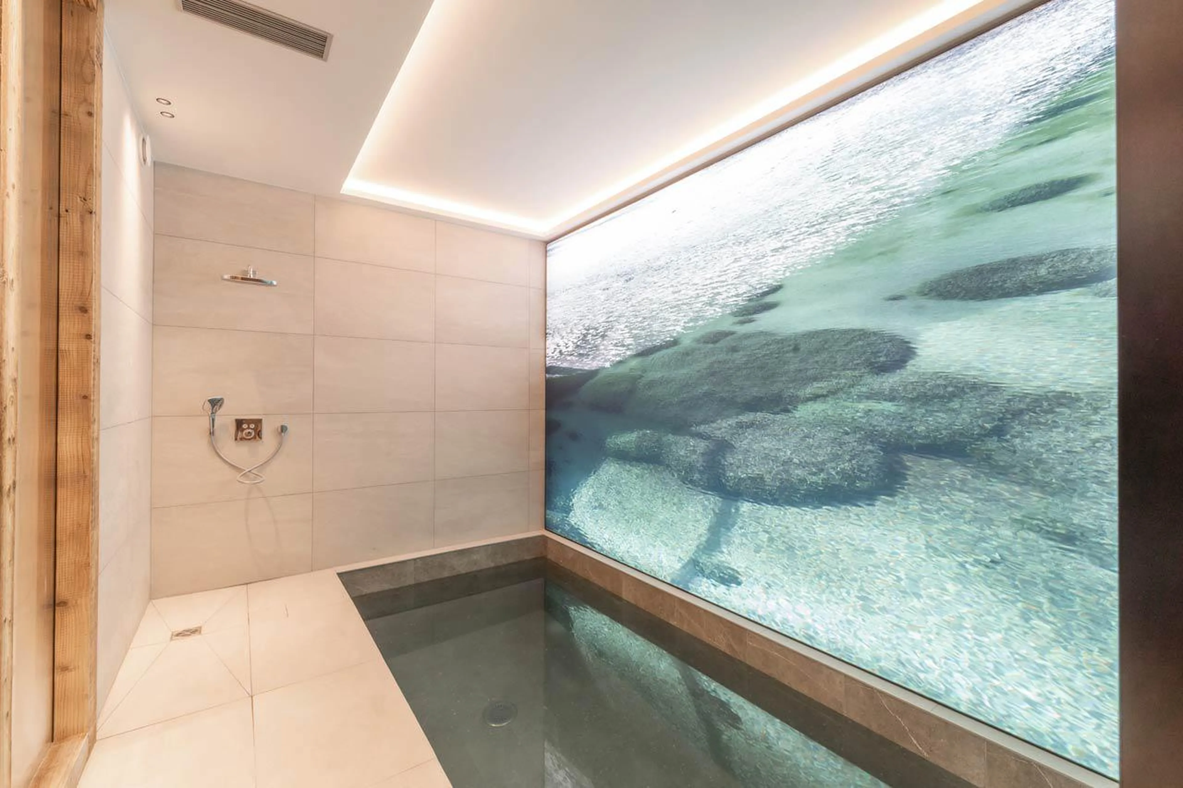 Swim spa at Chalet Bois du Fontanil in Courchevel Le Praz