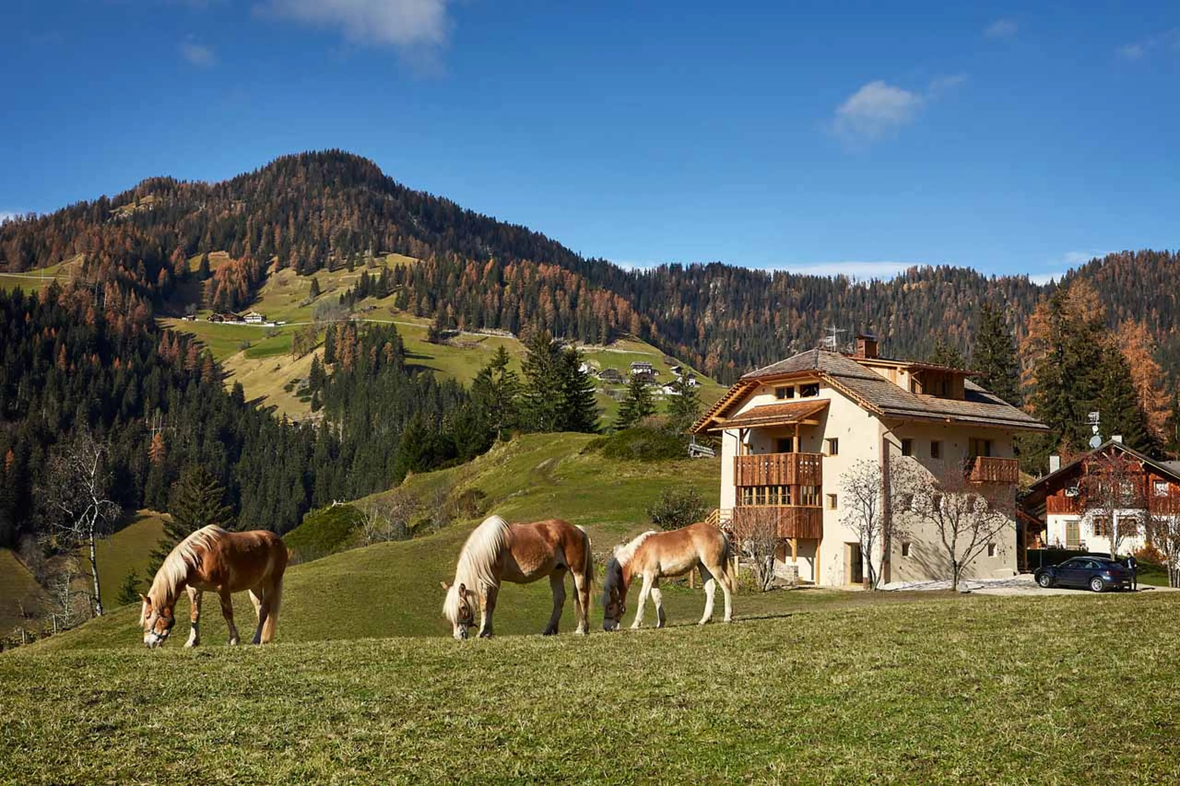 Historic farmhouse of Chalet Sotciastel in Alta Badia