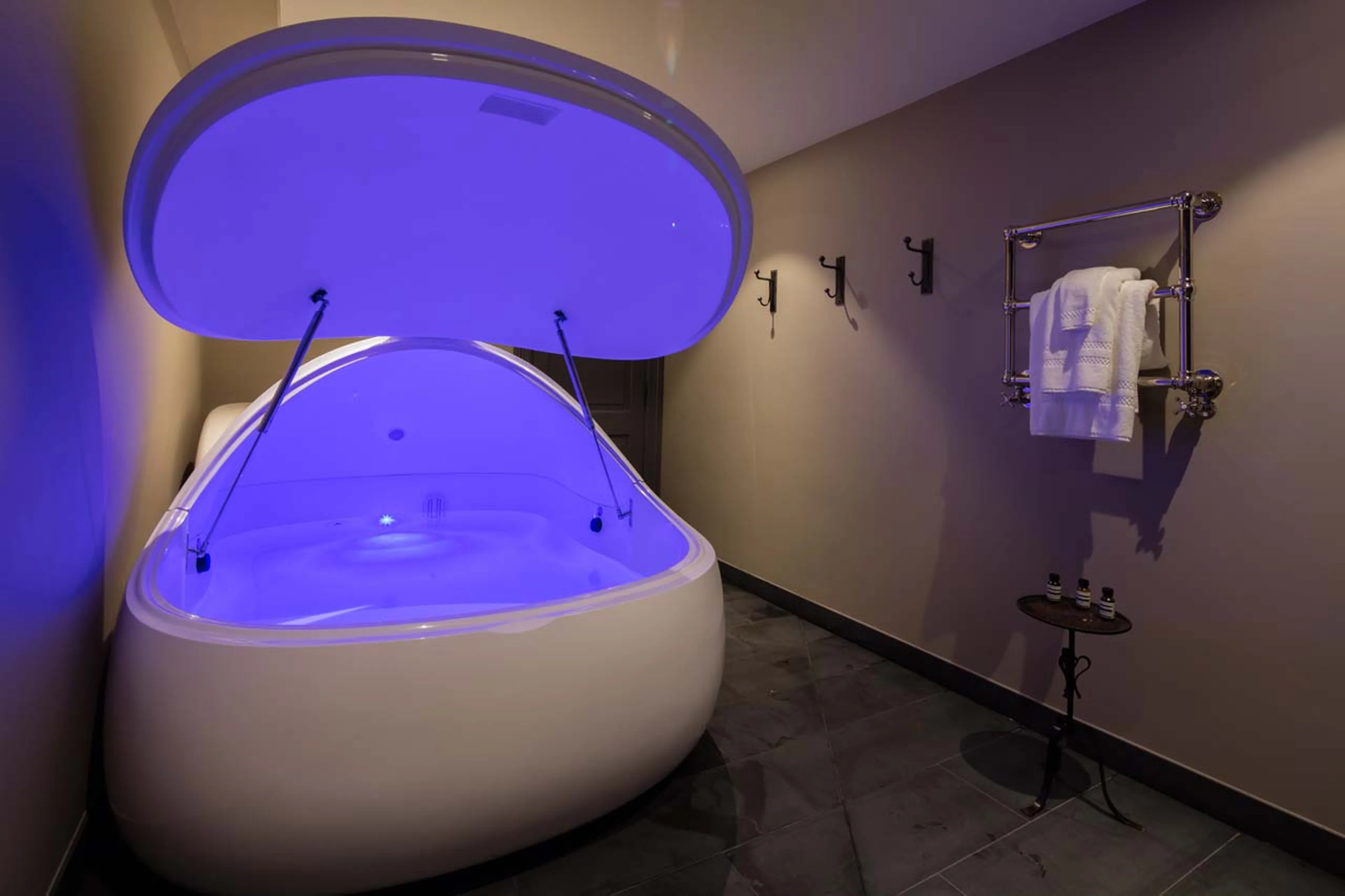 Isopod at Deplar Farm in Iceland