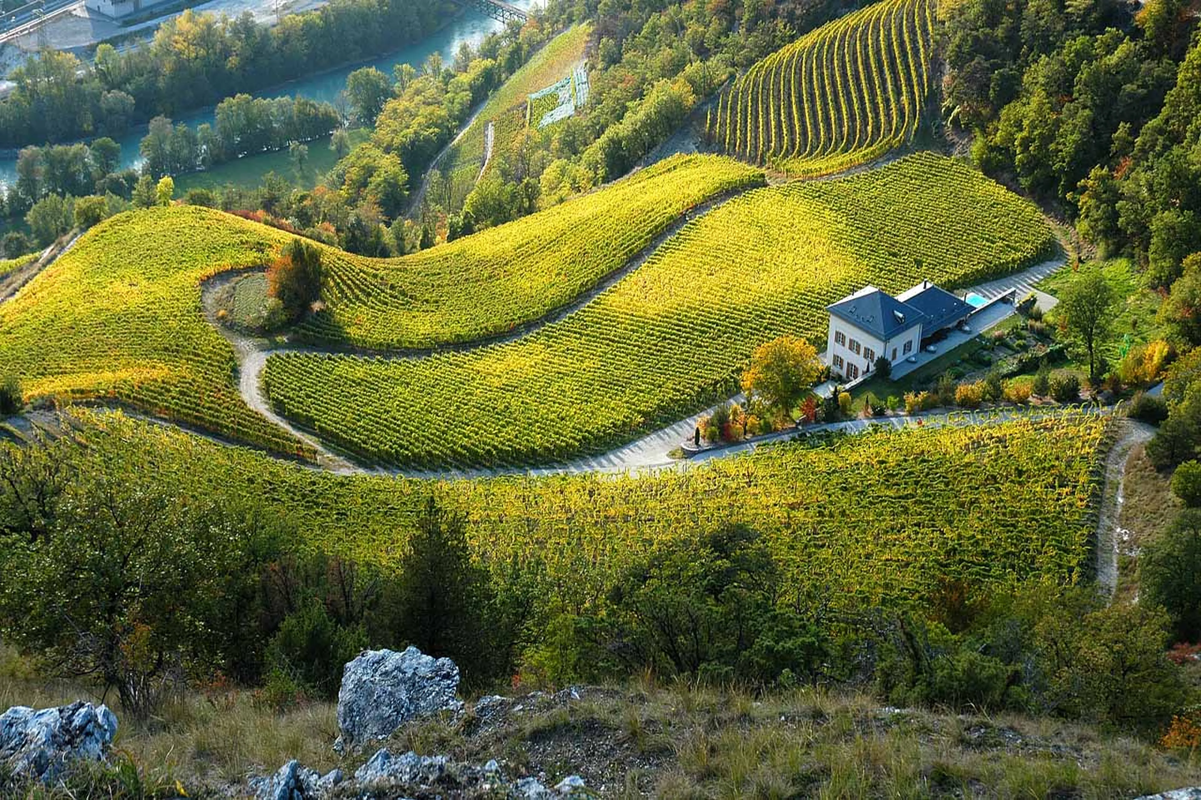 Domaine Rouvinez vineyards