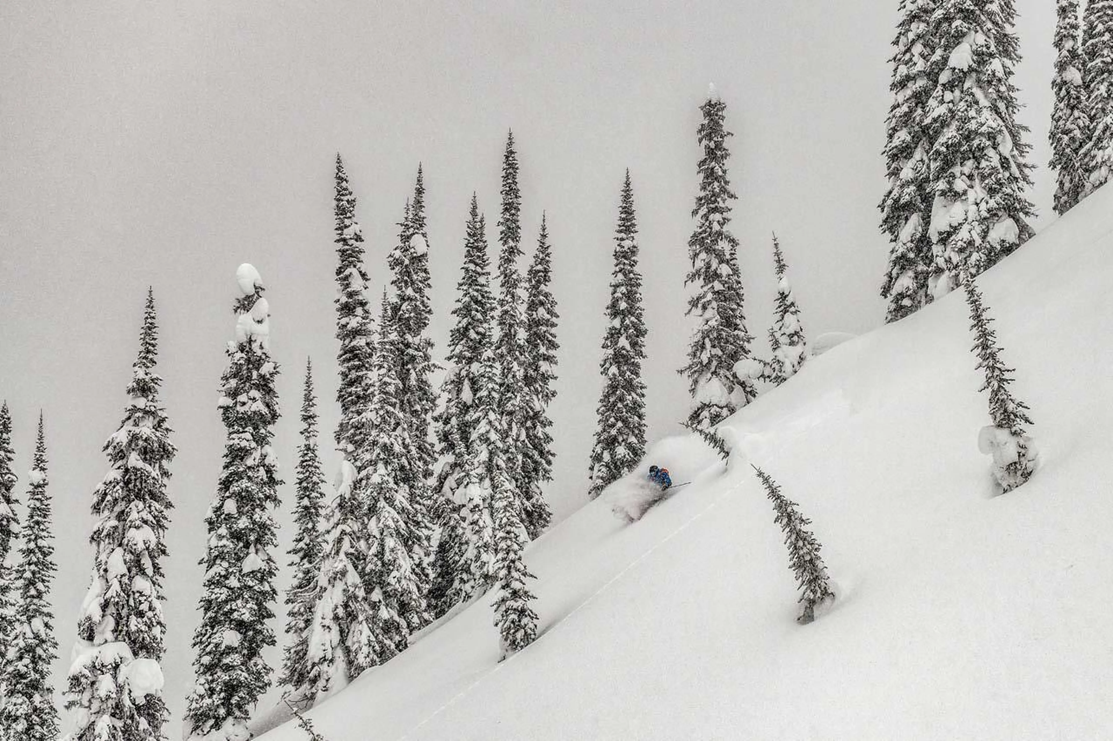 Powder skiing from at Eleven Revelstoke Lodge