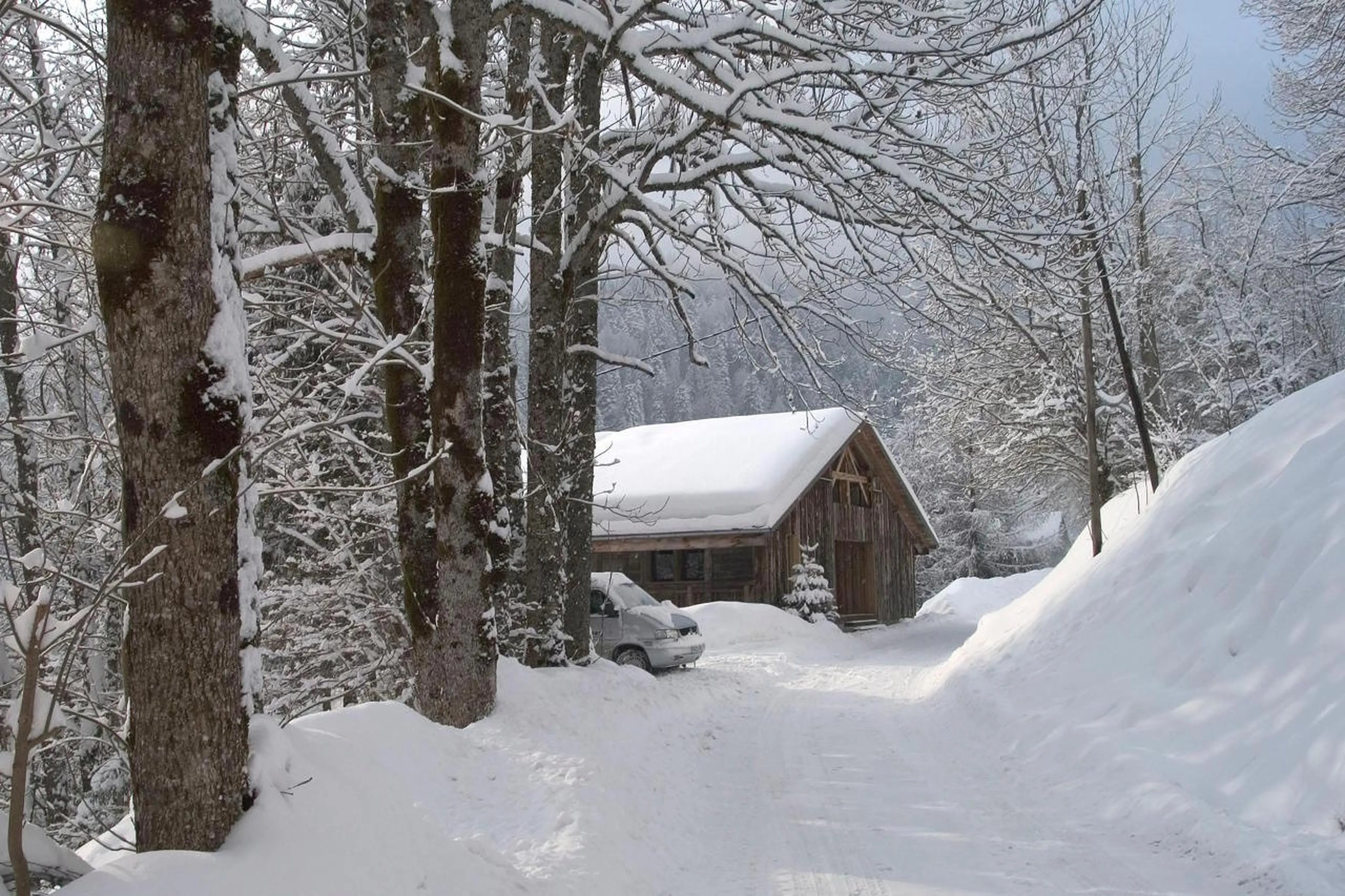 Ferme de Moudon is tucked away in a magical forest in Les Gets