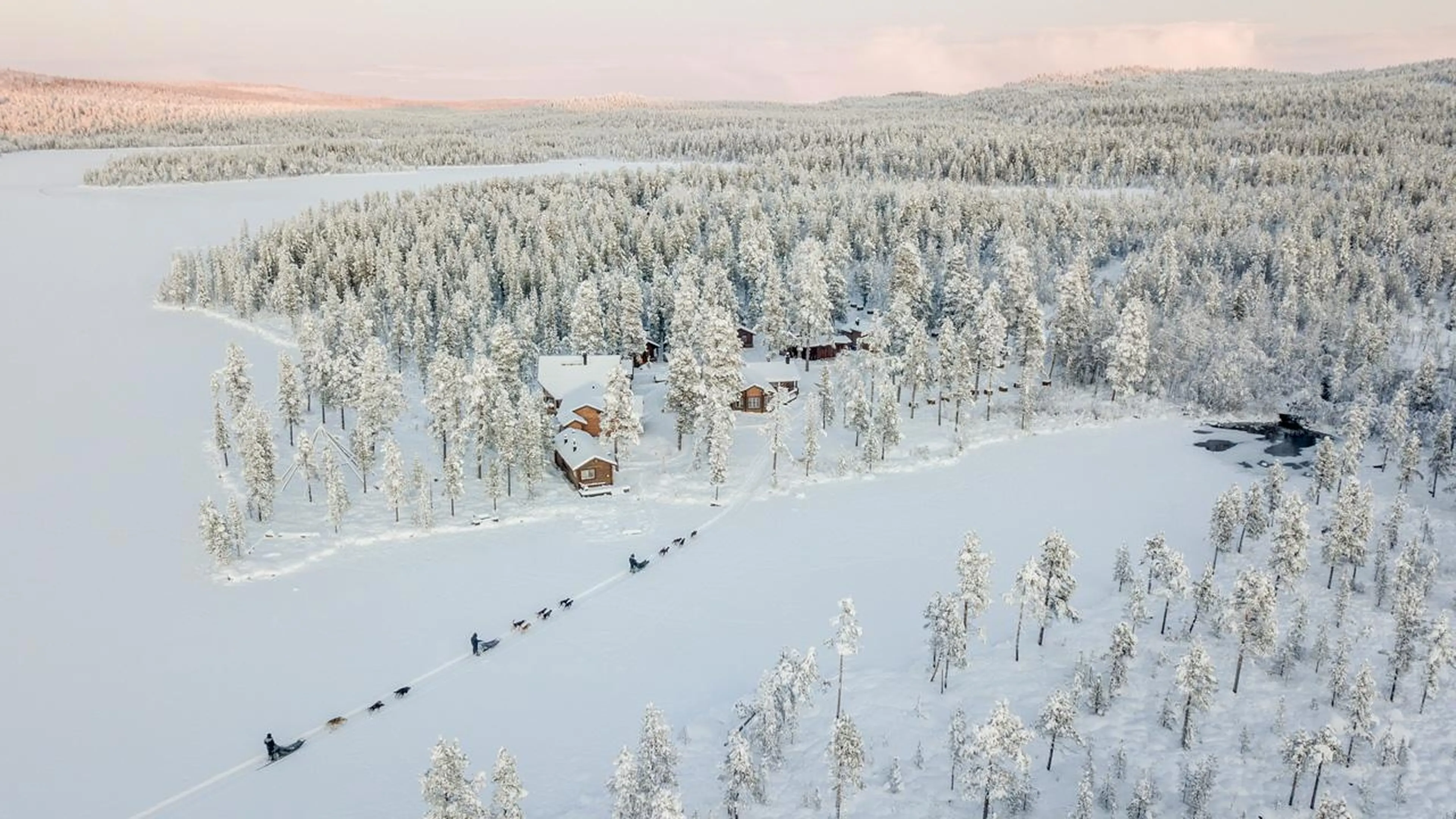 Dog sledding at Fjellborg Arctic Lodge