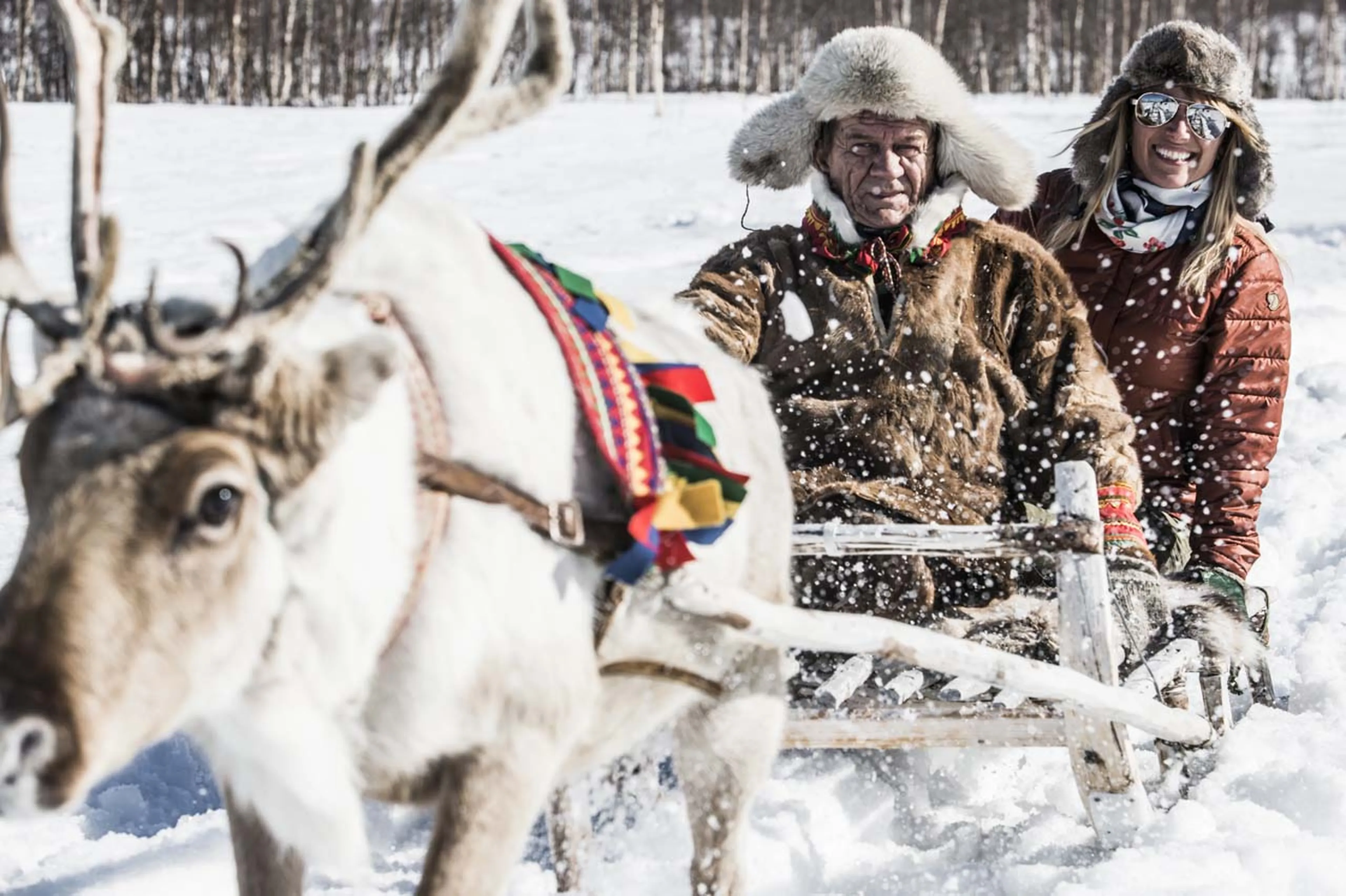Reindeer sleigh ride at Fjellborg Arctic Lodge in Sweden