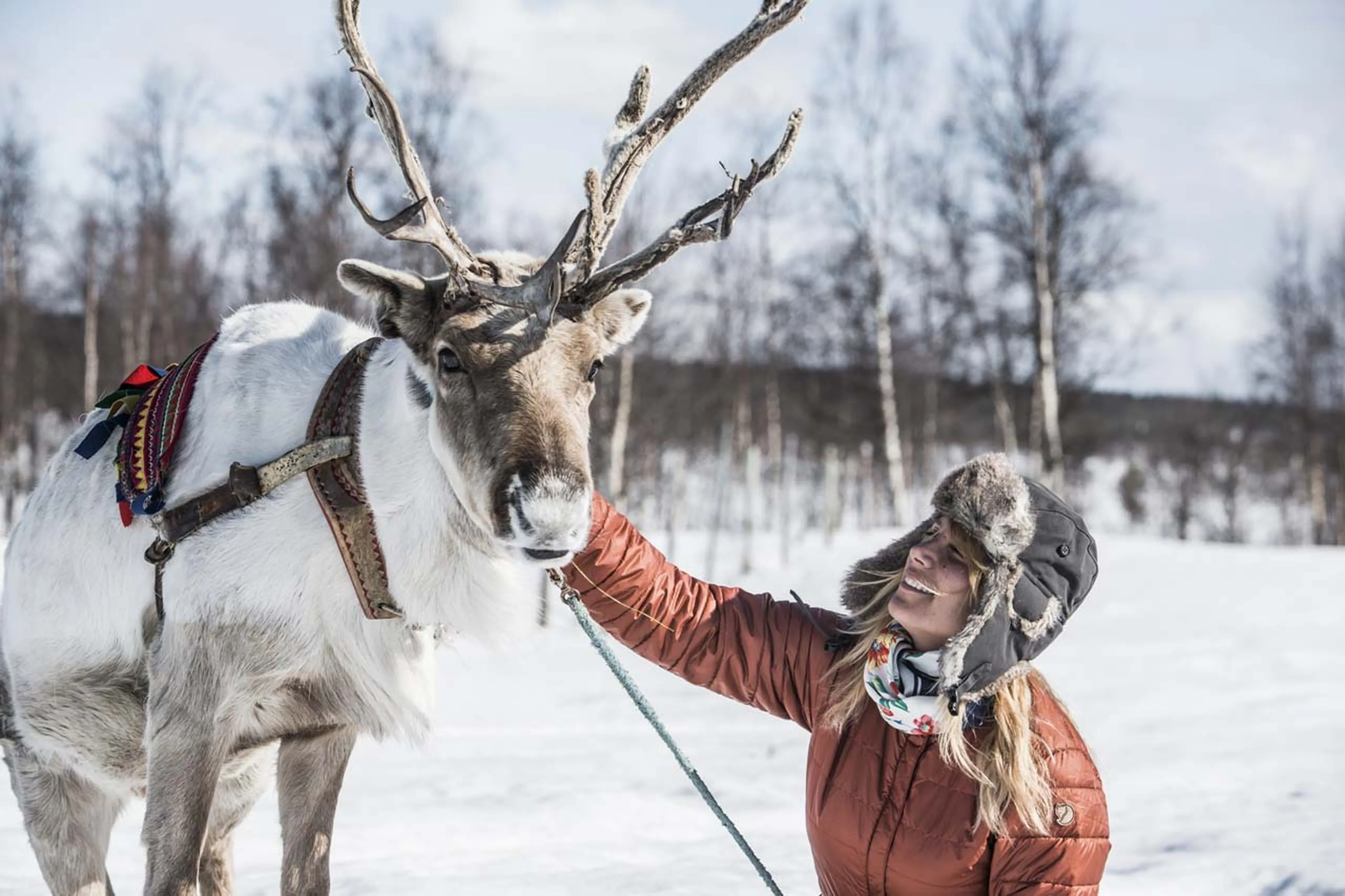Sami experiences at Fjellborg Arctic Lodge in Sweden