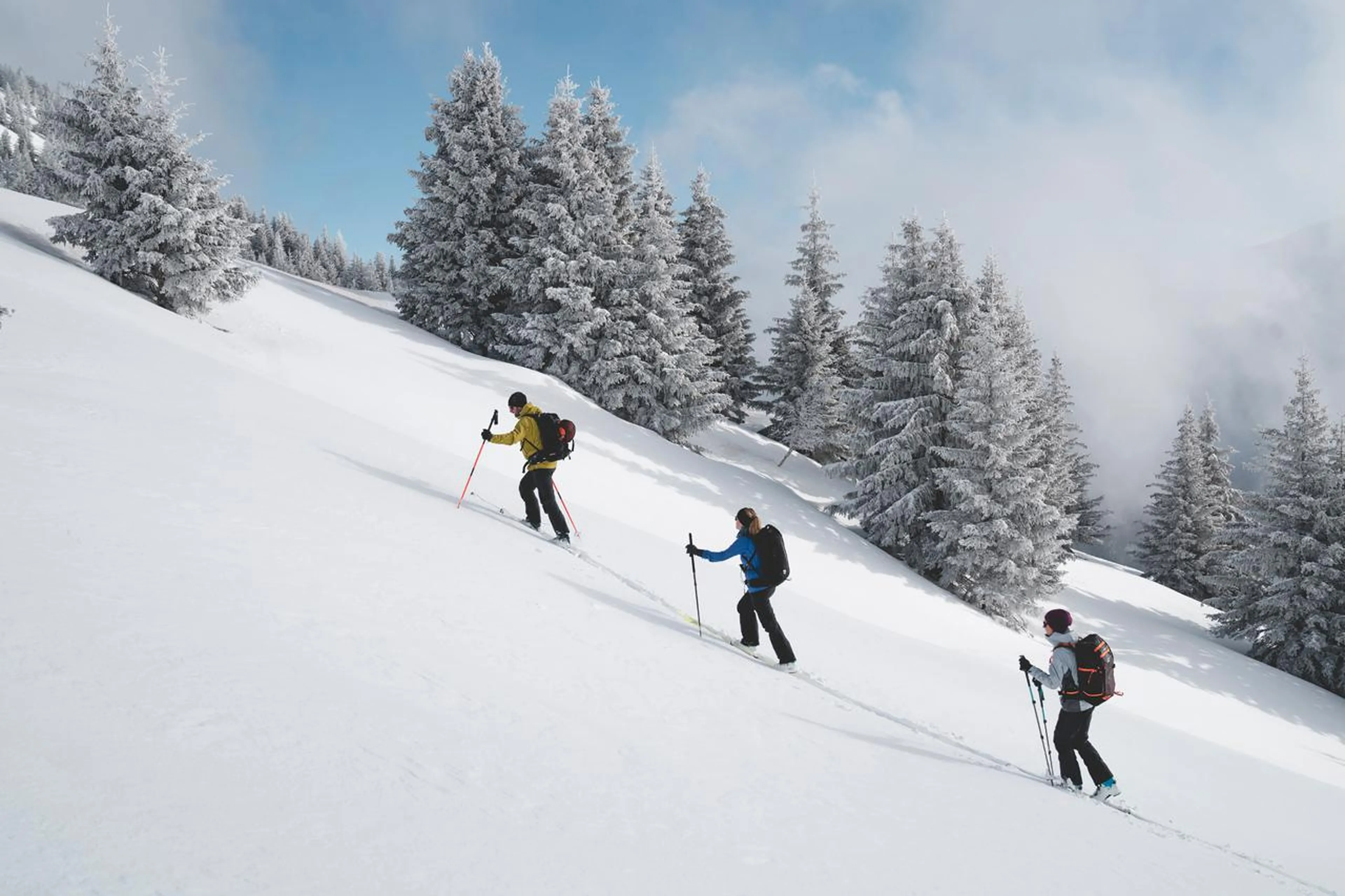 Ski Touring in the Alps