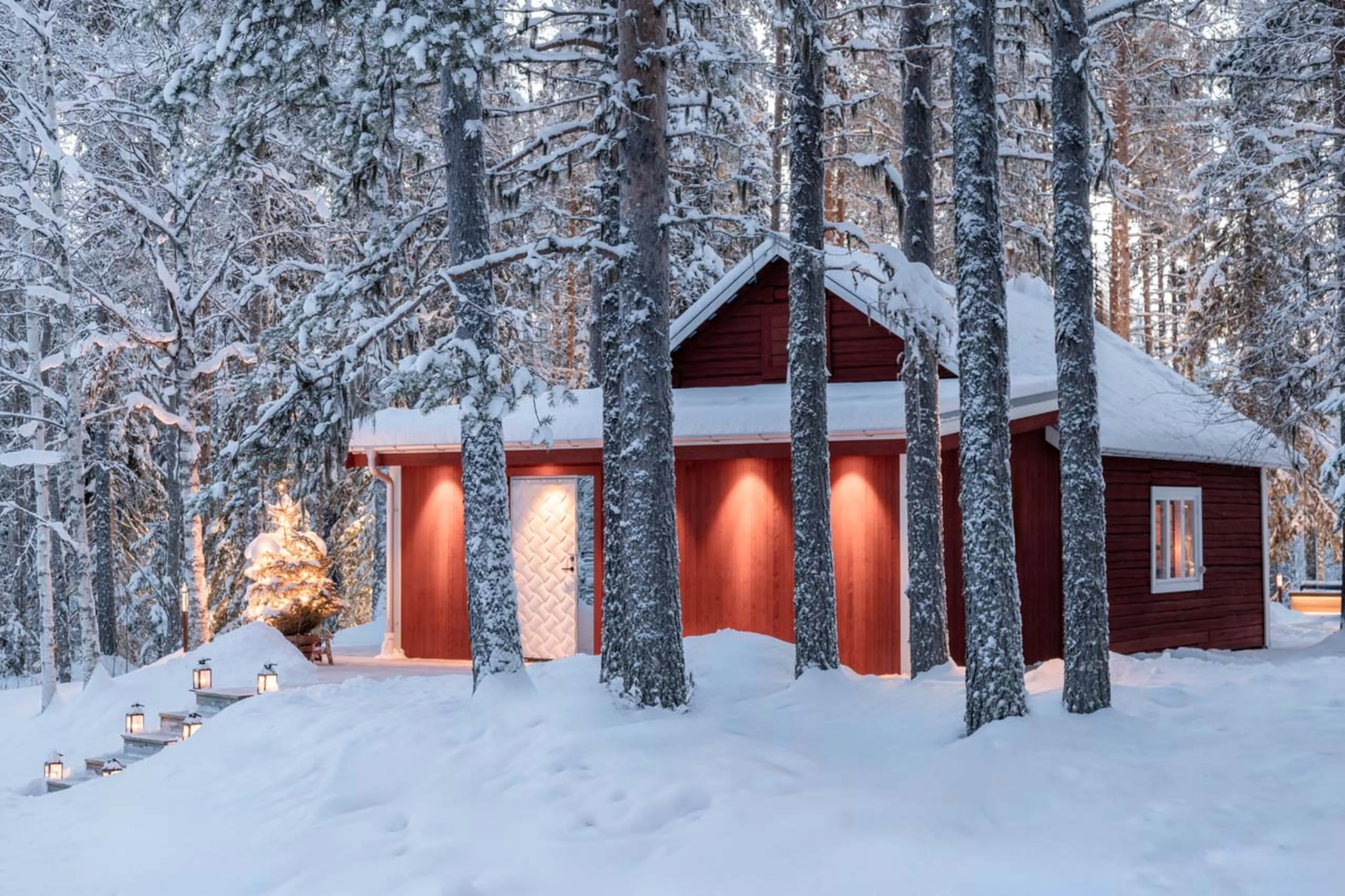 Trees and exterior at Logger's Lodge in Sweden