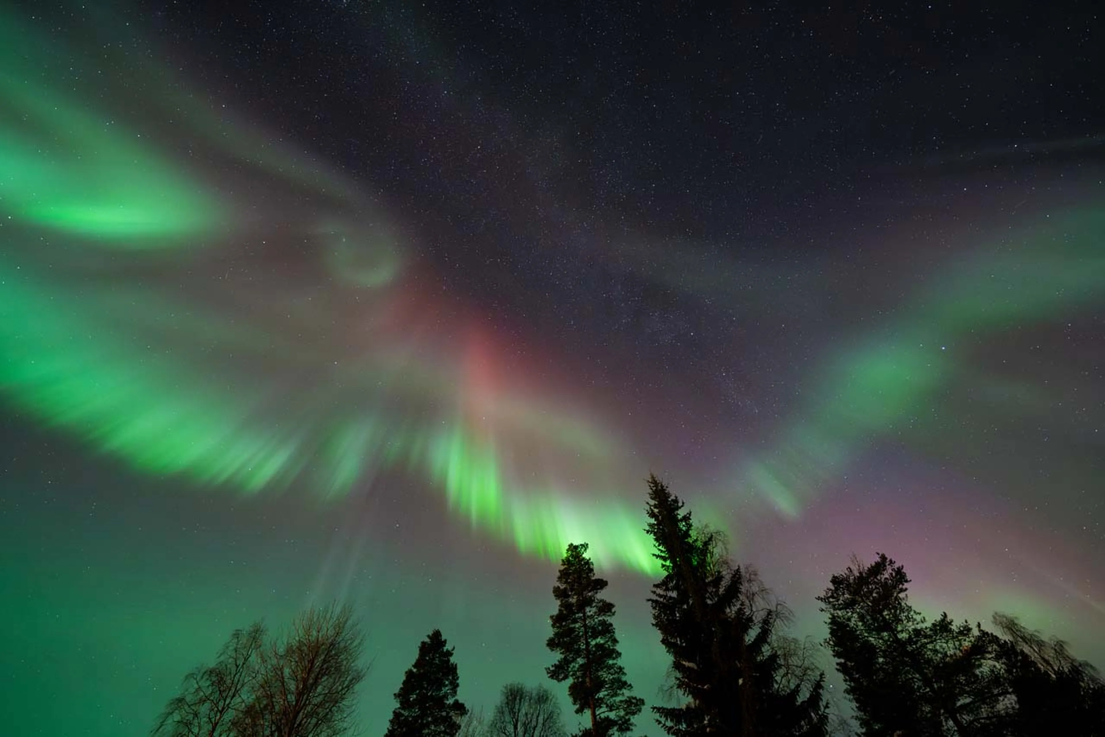 Northern lights at Logger's Lodge in Sweden