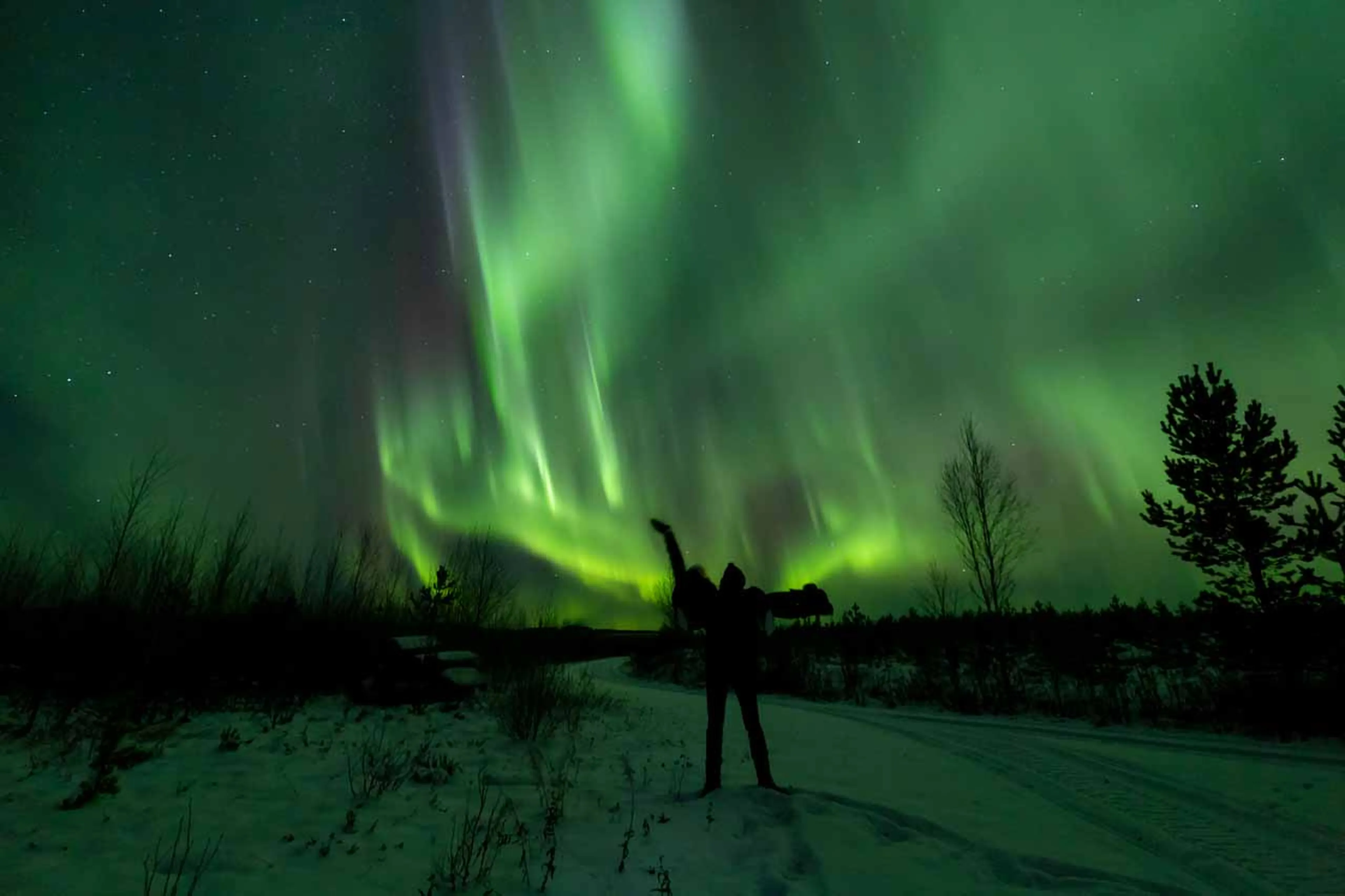 Northern Lights at Loggers Lodge in Sweden