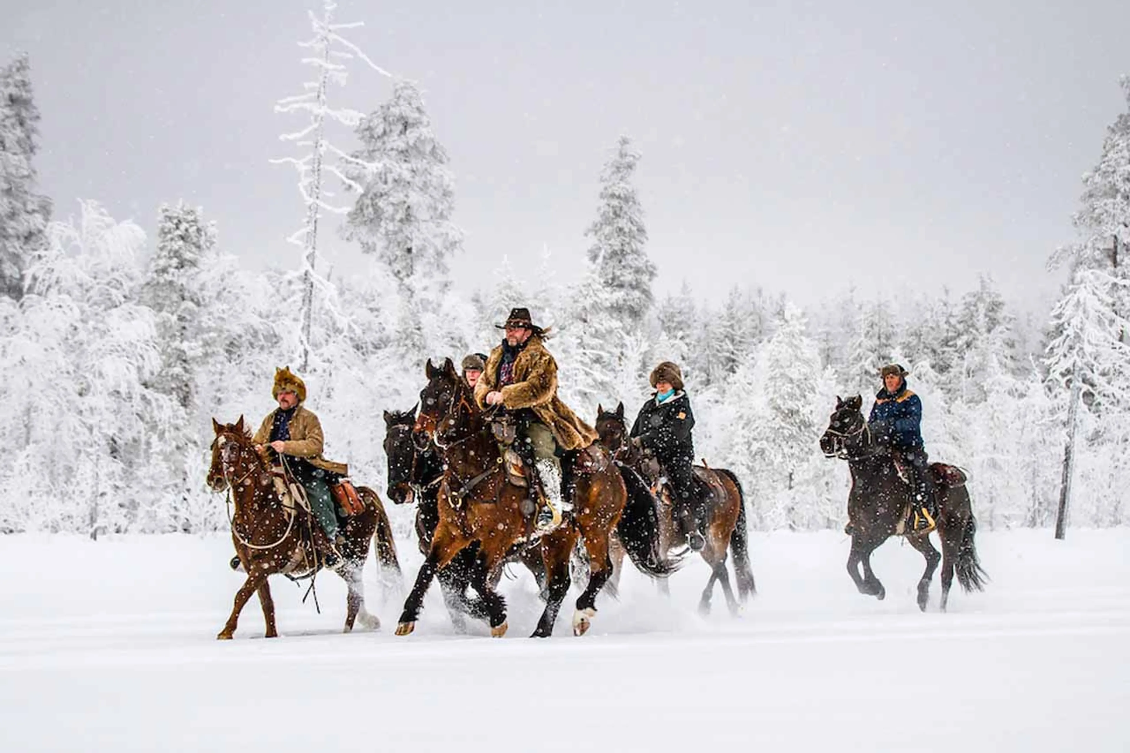 Horse riding at Logger's Lodge in Sweden