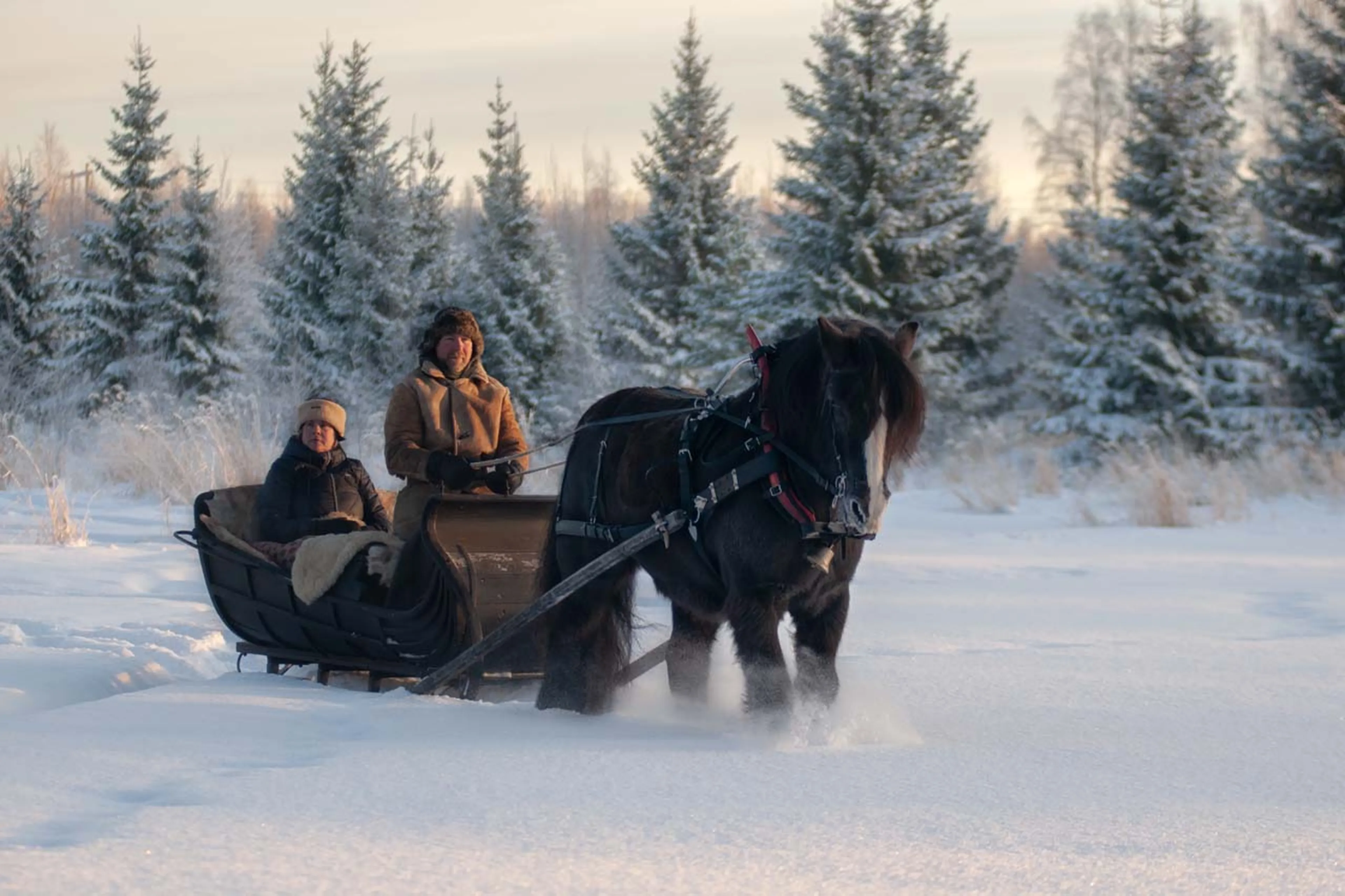Horse sleigh ride at Logger's Lodge in Sweden