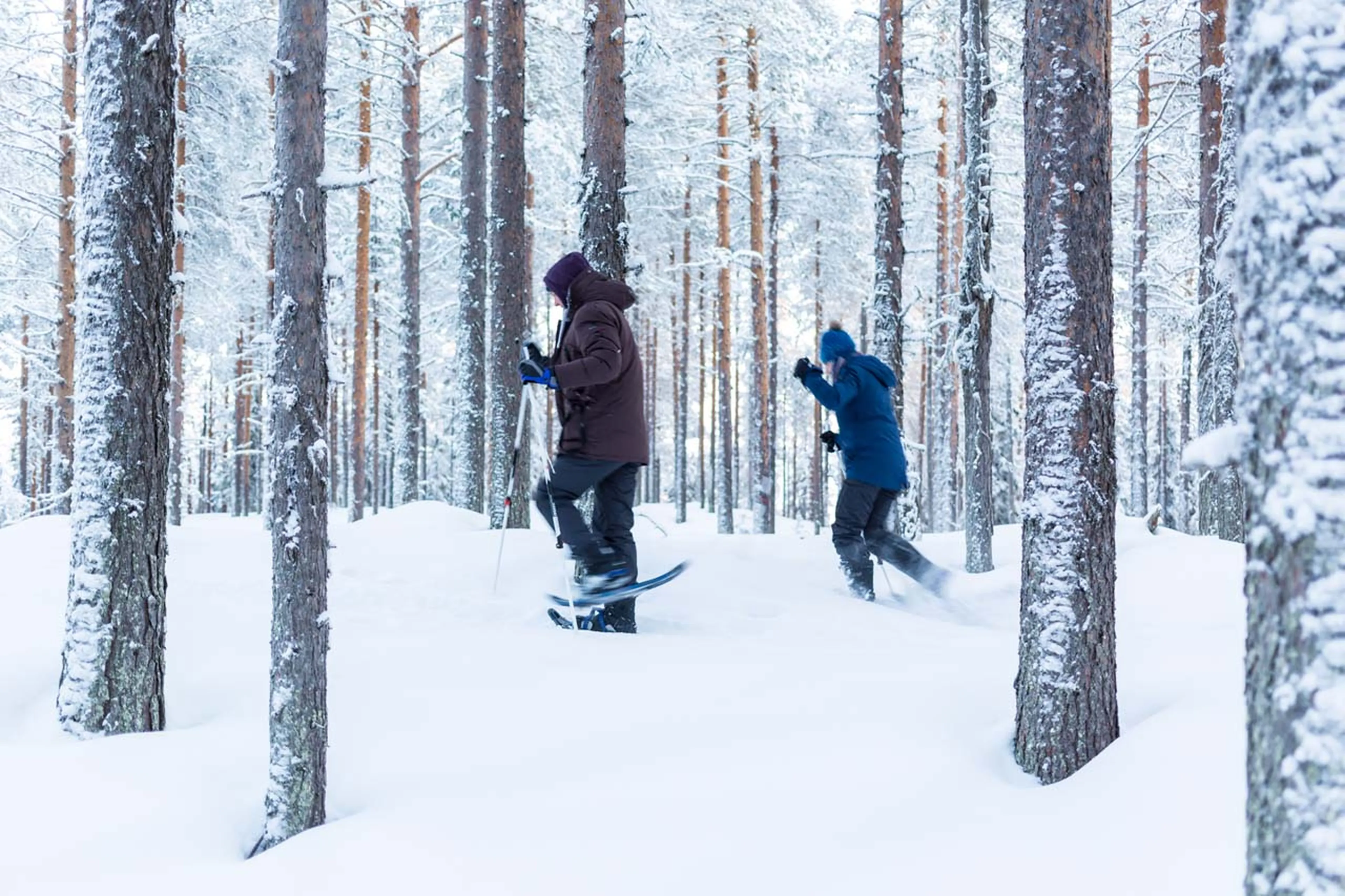 Snowshoeing at Logger's Lodge in Sweden