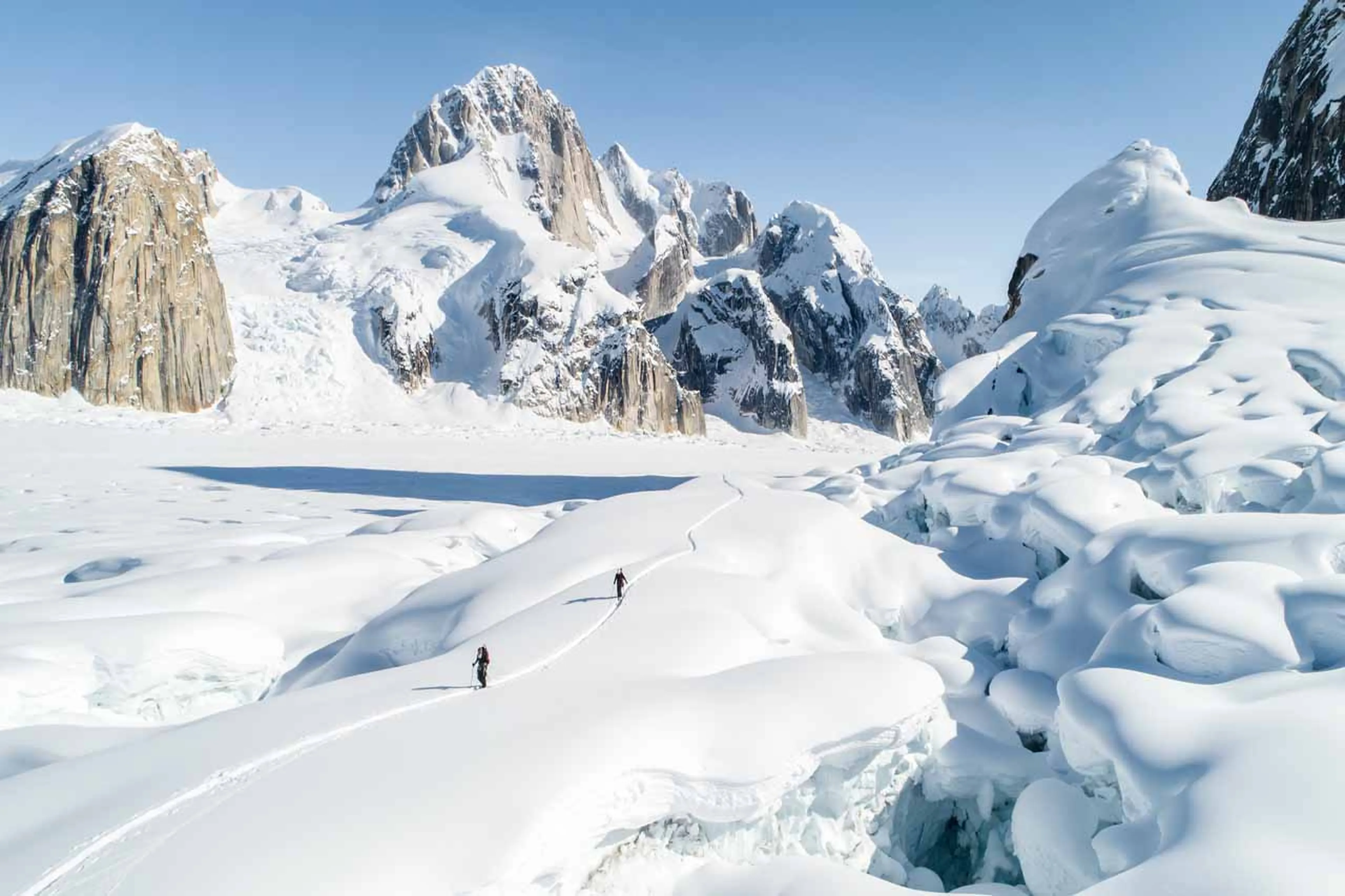 Trekking in Denali National Park