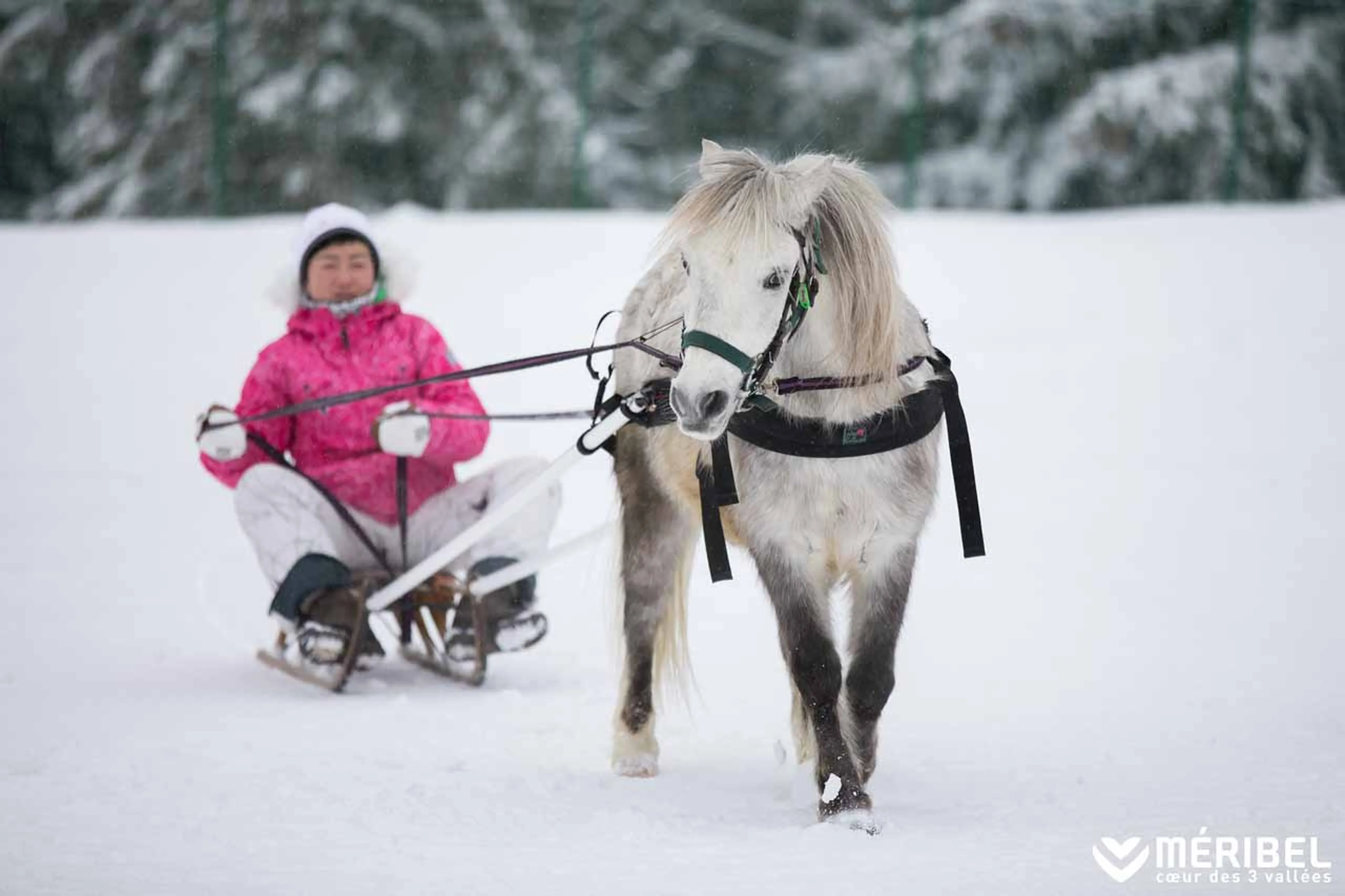 Ski joering in Meribel